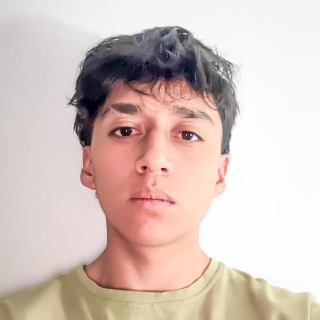 User Image