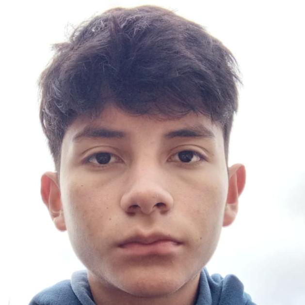 User Image