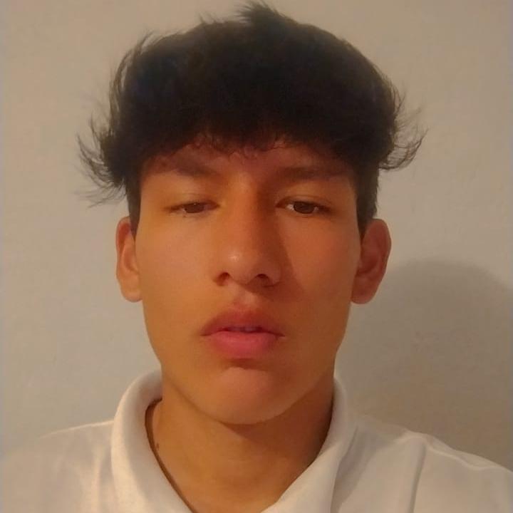 User Image